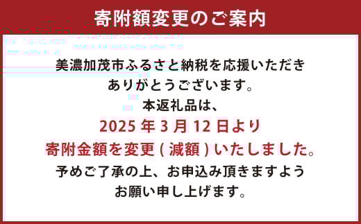 【右利き用】ZERO.REALIZE 硬式グローブ（Z1 投手用） オーダーモデル 野球用グローブ グラブ 野球用グラブ