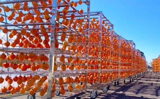 干し柿 「 誉 」