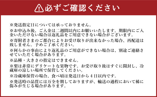 《先行予約》山之上の梨 （品種はおまかせ） 約 3kg （5～8玉） 梨 なし 果物 フルーツ 【2025年8月上旬-10月上旬 発送予定】
