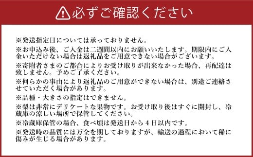 《先行予約》 山之上の梨 （ 品種はおまかせ ） 約5kg （ 8～14玉 ） 愛甘水 幸水 豊水 あきづき 秋のほほえみ 甘太 なし ナシ 梨 フルーツ 冷蔵 岐阜県産 国産 送料無料 【2026年8月下旬～10月上旬発送予定】