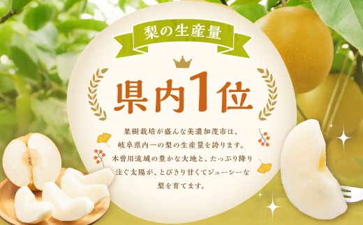 ｢丸坂山田農園｣ 山之上梨 豊水 1箱 （ 約2.5kg ／ 5～8玉 ）