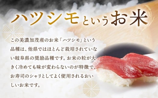 令和7年産 お米マイスターが提供 冷めても美味しい 岐阜県美濃加茂産 ハツシモ （ 10kg ） 春見ライス 米 お米 コメ 白米 ライス 国産 国産米 岐阜県 美濃加茂市 常温 送料無料 【2025年12月上旬～2026年7月下旬発送予定】