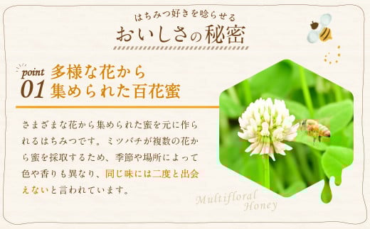 国産 無添加 MINOKAMO HONEY はちみつ （ 200g ）