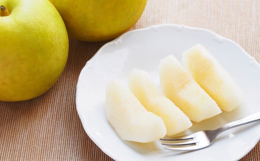 《先行予約》 「山之上果実農業協同組合」 山之上の梨 二十世紀 1箱 約2.5kg 梨 なし ナシ フルーツ 果物 旬 【2025年9月上旬-10月上旬 発送予定】