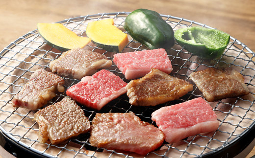 飛騨牛 カルビ 焼肉用 400g | 肉のかた山 牛肉 肉 お肉 和牛 黒毛和牛 国産 焼肉 冷凍 M16S31