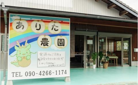 【2024年 8月上旬発送開始】山之上の梨（品種はおまかせ）約2.5kg｜ありた農園 M10S123