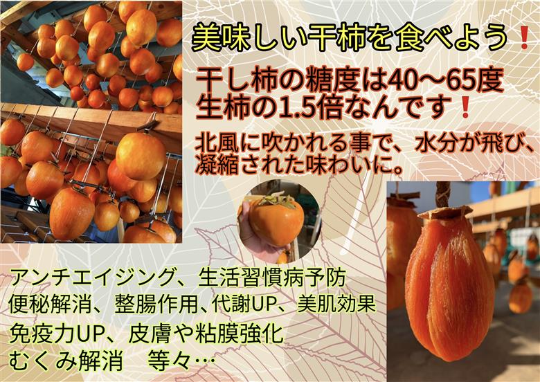 とくがわ家のおやつ ３個入り | 川登屋 堂上蜂屋柿 蜂屋柿 柿 和菓子 縁起物 ギフト