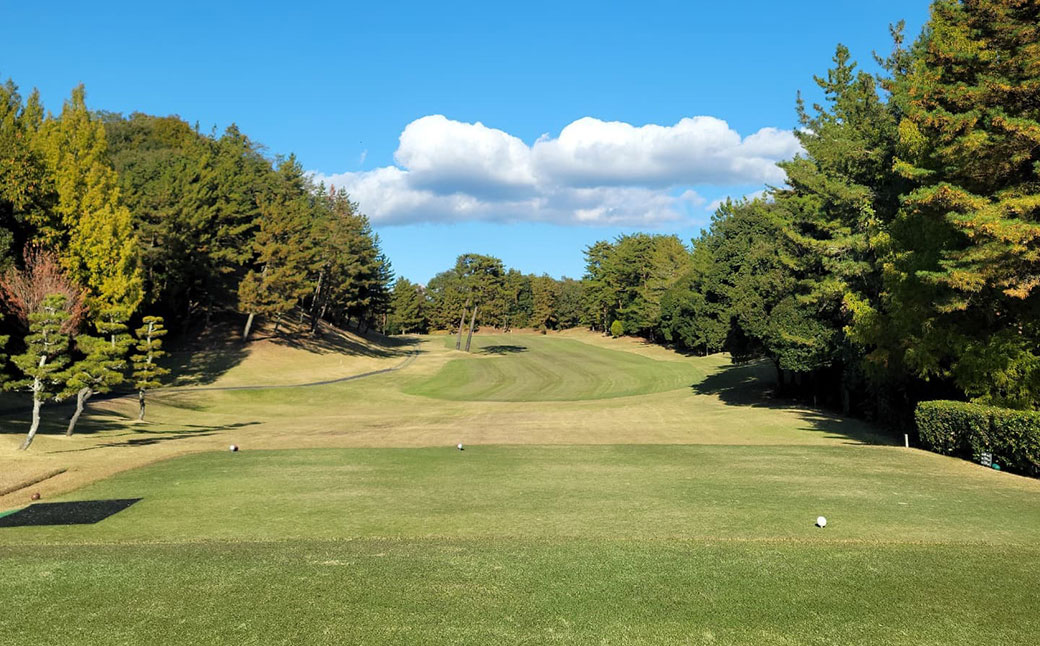 伊深の森 カントリー クラブ 利用券 9,000円分 | ゴルフ ゴルフ場 券 チケット 岐阜 岐阜県