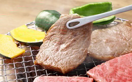 飛騨牛 A5 等級 焼肉 用 （ ロース 400g） | 肉のかた山 牛肉 牛 肉 焼き肉 和牛 黒毛和牛 国産 M22S38