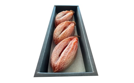 【TVで紹介】《先行受付》堂上蜂屋柿 秀 3個 入り