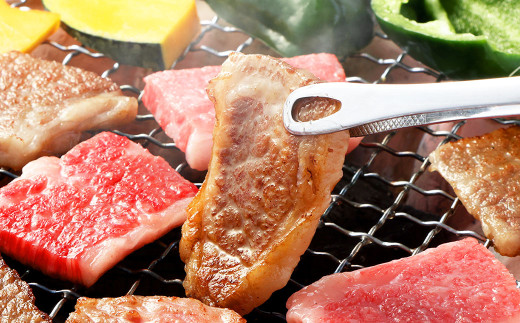 飛騨牛 カルビ 焼肉用 400g | 肉のかた山 牛肉 肉 お肉 和牛 黒毛和牛 国産 焼肉 冷凍 M16S31