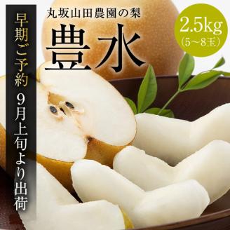 【先行予約】山之上 梨 １箱 豊水 2.5kg程度 | 丸坂山田農園 なし ほうすい M10S125