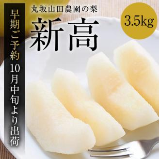 【先行予約】【2024年10月中旬より順次発送】山之上 梨 １箱 新高 3.5kg程度 | 丸坂山田農園 なし にいたか M11S70