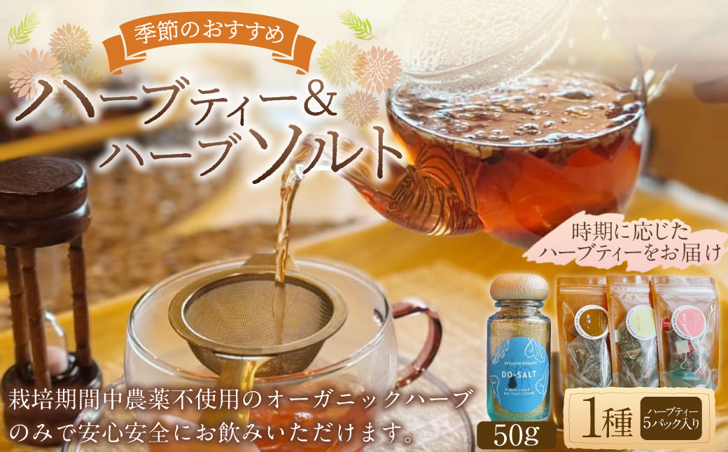 【ハーブ専門店】ハーブソルト（50g）＆季節のハーブティー（1種 5パック） | お茶 ハーブティー ハーブ 塩 ソルト ブレンド 調味料