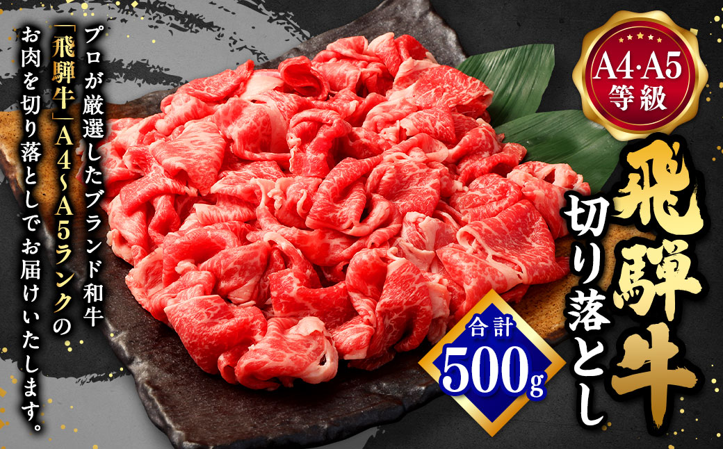 飛騨牛 A4 A5 等級 切り落とし 500g | 肉のかた山 牛肉 牛 肉 焼肉 すき焼き しゃぶしゃぶ 和牛 黒毛和牛 国産 M11S66