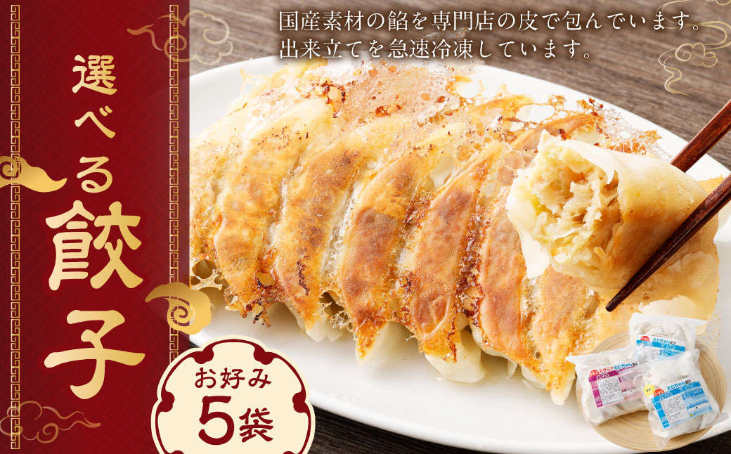 冷凍餃子５袋（選べる５袋）（備考欄に５袋の希望を記入） | NPO法人プラス・ワン 第２むくのき 冷凍 豚肉 餃子 ぎょうざ 小分け 大容量 M12S116