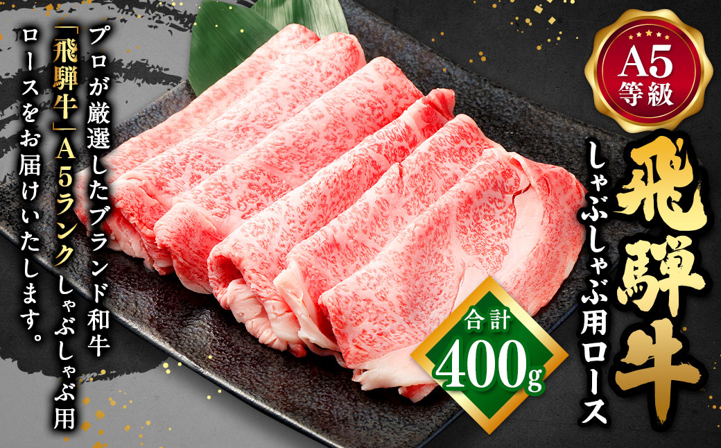 飛騨牛 A5 等級 しゃぶしゃぶ 用（ ロース 400g）| 肉のかた山 牛肉 牛 肉 お肉 和牛 黒毛和牛 国産 しゃぶしゃぶ M22S37
