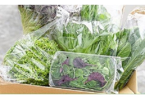 葉物野菜 Cセット 新鮮 水耕栽培 3種類以上 13袋程度 | GreensFarm ホタル やさい サラダ 和え物 セット 詰め合わせ M10S101