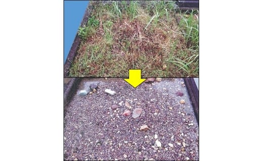 市営墓地 前平霊苑 区画内 清掃 委託業務 | 太陽の家 年4回 墓 お墓 墓掃除 お墓掃除 墓地清掃 除草 M14S50