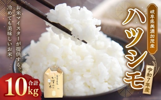 令和7年産 お米マイスターが提供 冷めても美味しい 岐阜県美濃加茂産 ハツシモ （ 10kg ） 春見ライス 米 お米 コメ 白米 ライス 国産 国産米 岐阜県 美濃加茂市 常温 送料無料 【2025年12月上旬～2026年7月下旬発送予定】