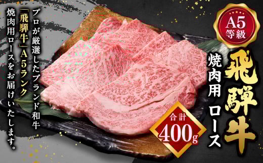 飛騨牛 A5 等級 焼肉 用 （ ロース 400g） | 肉のかた山 牛肉 牛 肉 焼き肉 和牛 黒毛和牛 国産 M22S38
