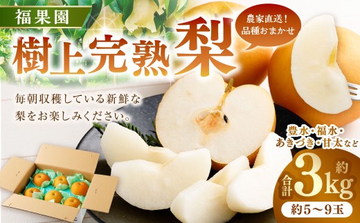 福果園の樹上完熟梨 農家直送品種おまかせ（3kg程度）