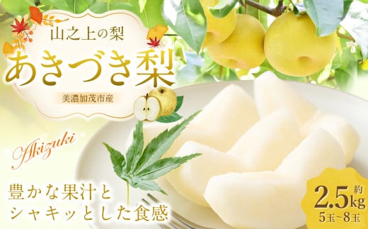 《先行予約》 「山之上果実農業協同組合」 山之上の梨 あきづき梨 1箱 約 2.5kg 5-8玉 梨 なし ナシ フルーツ 果物 旬 【2025年9月上旬-10月上旬 発送予定】