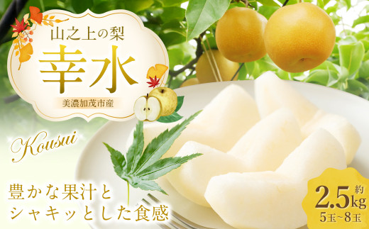 《先行予約》 「山之上果実農業協同組合」 山之上の梨 幸水 1箱 約 2.5kg 5-8玉 梨 なし ナシ フルーツ 果物 旬 【2025年8月上旬-8月下旬 発送予定】