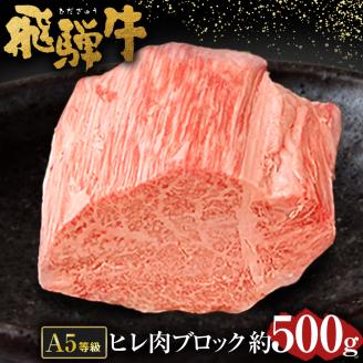 [ 希少部位 ]飛騨牛 A5 等級 ヒレ 肉 ブロック 約500g | 肉のかた山 ブロック肉 M61S01