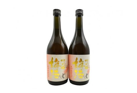 御代櫻 梅酒 大吟醸仕込み 720ml 2本セット| 御代桜醸造 酒 お酒 アルコール 岐阜県 美濃加茂市 美濃加茂 みのかも