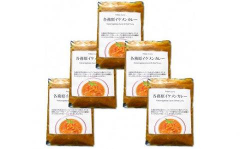 523	各務原イケメンカレー5袋セット