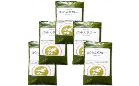521	ほうれん草カレー5袋セット