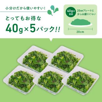 933 葉が柔らかくて、味が濃い！！「岐阜県産」ミックスべビーリーフ【40g】×５セット