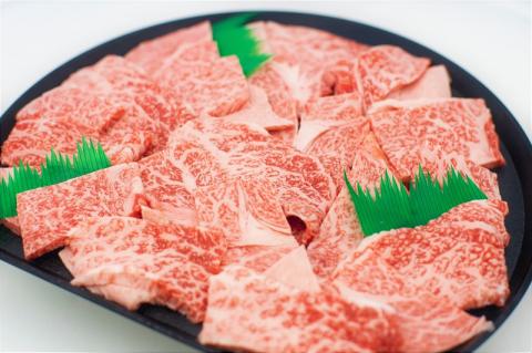 9 特撰飛騨牛Ａ５等級　肩ロース・赤身　焼肉用900g