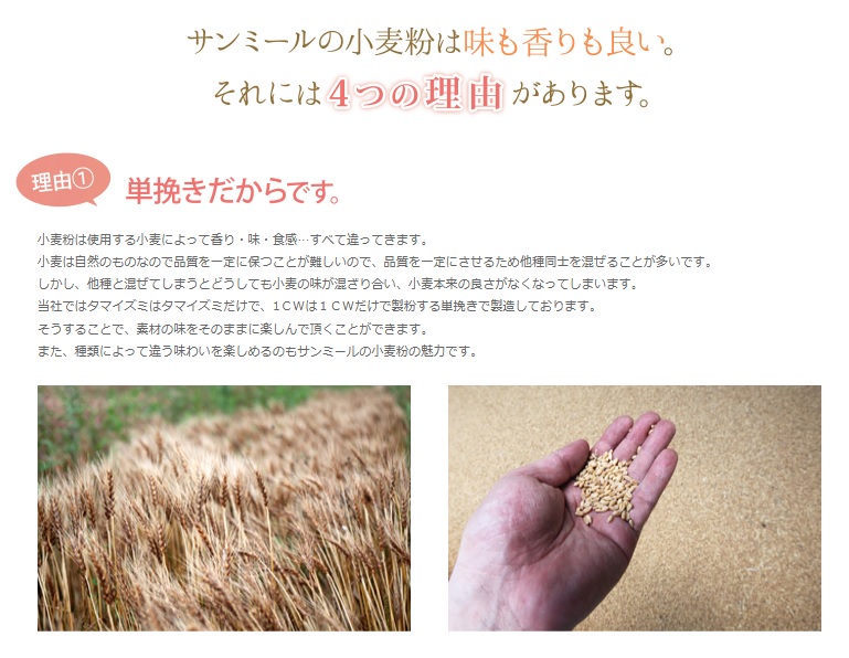 1228 タマイズミSS　10kg 岐阜県産小麦準強力粉