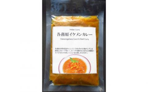 523	各務原イケメンカレー5袋セット