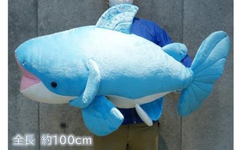 511 世界淡水魚園水族館　アクア・トトぎふ　ぬいぐるみ　メコンオオナマズ特大