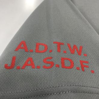 743 F-4EJ 301号機 Tシャツ（飛行開発実験団 明灰）