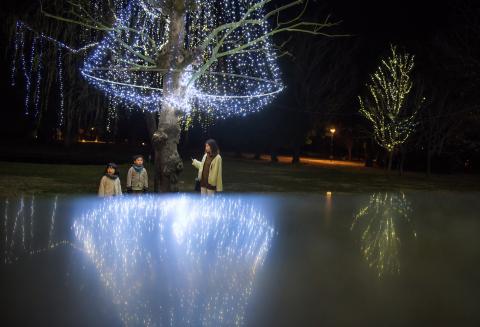 545 写真家 小林淳によるロケーション撮影（計1時間：15カット保障）