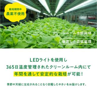 932 マイクロリーフミックス【20g】＆ベビーリーフミックス【40g】健康野菜の食べ比べセット