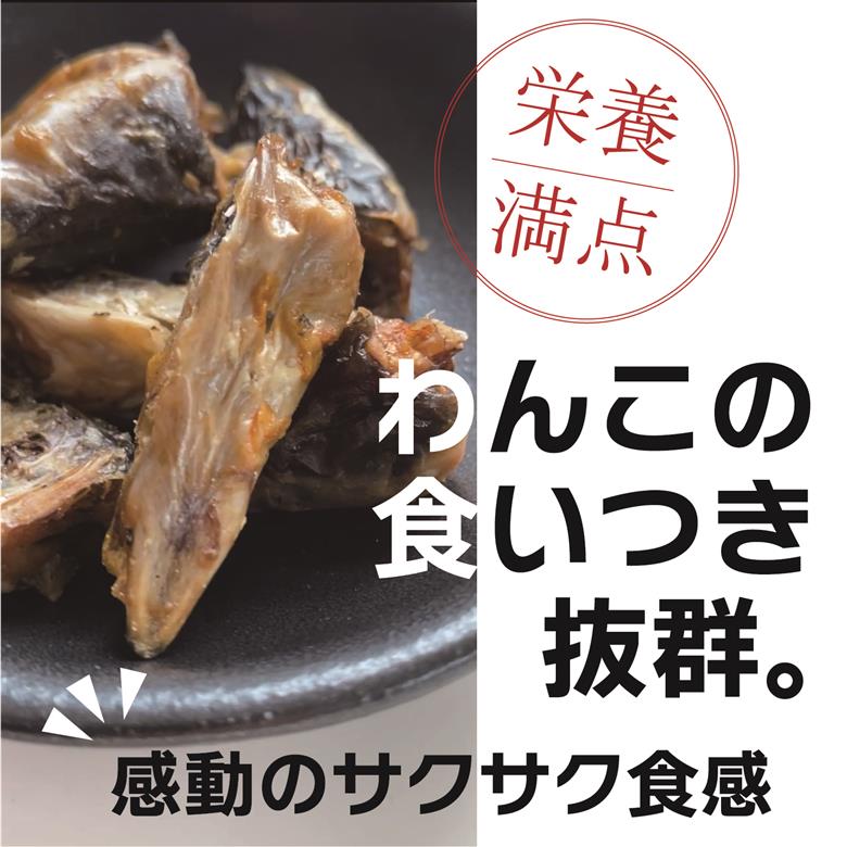 1029 うなぎ屋が作ったわんこ専用おやつ　うなぎサクサクくん極（袋入り）３袋セット　三河一色産うなぎ使用　無添加　中・大型犬に最適