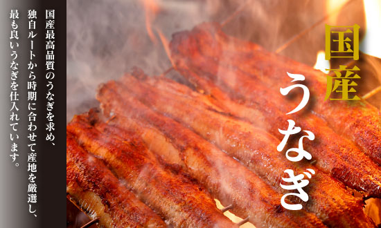 1036 美濃金　神田本店　炭焼　国産うなぎ蒲焼２尾