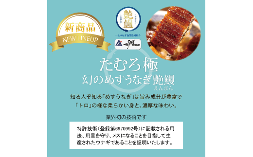 44 たむろ極　幻のめすうなぎ艶鰻（蒲焼き2尾）