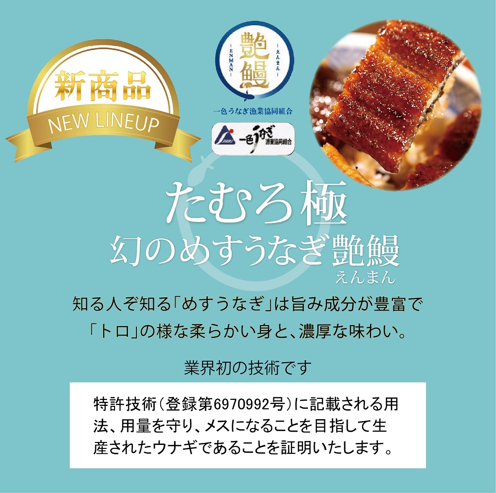 45 たむろ極　幻のめすうなぎ艶鰻（白焼き2尾）