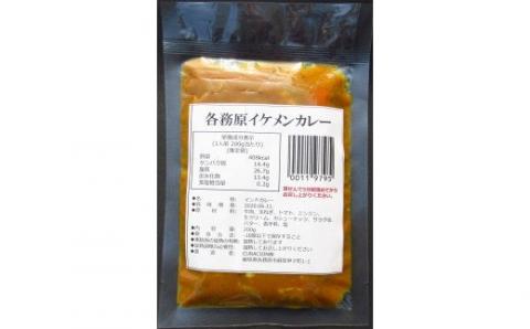 523	各務原イケメンカレー5袋セット