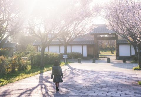 545 写真家 小林淳によるロケーション撮影（計1時間：15カット保障）