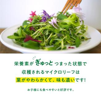 931 マイクロリーフミックス【40ｇ】＆エディブルフラワーミックス【20輪】セット