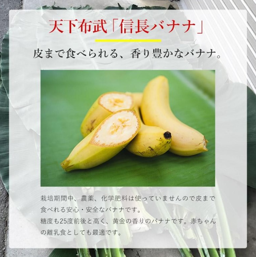 1041 天下布武信長バナナ　約1kg　サイズお任せ　国産　糖度25度前後　無農薬　無添加