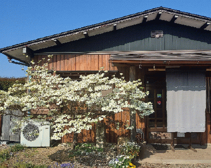 890 そば・うどん処涼庵　お食事券３０００円分