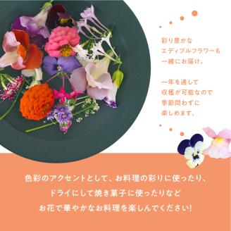 931 マイクロリーフミックス【40ｇ】＆エディブルフラワーミックス【20輪】セット